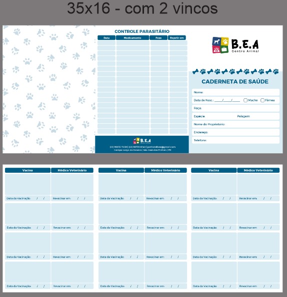 CARTEIRINHA VACINA 4X4